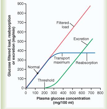 RIASSORBIMENTO del GLUCOSO La velocità massima ( Tm) è circa 375 mg/min Se la concentrazione plasmatica supera la soglia renale il glucoso in eccesso compare nelle urine Questo succede nel diabete