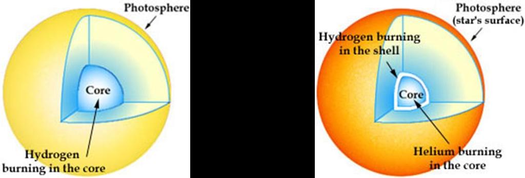 nel suo nucleo si trasforma l idrogeno in elio.