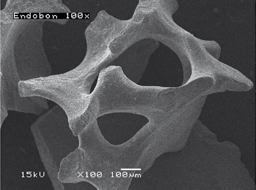 Endobon XENOGRAFT - Granuli di origine bovina OSSO SPONGIOSO GRANULARE (500-1000 MICRON) ESCLUSIVO PROCESSO DI REALIZZAZIONE Primo trattamento termico di pirolisi a 900 C per l eliminazione delle