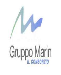 Gruppo Marin Il Consorzio sede operativa: via spinelli 23/29, Arcore (MB) sede legale: via adami, 7 Milano (MI) Ing. Andrea Danesini BD Director cell.