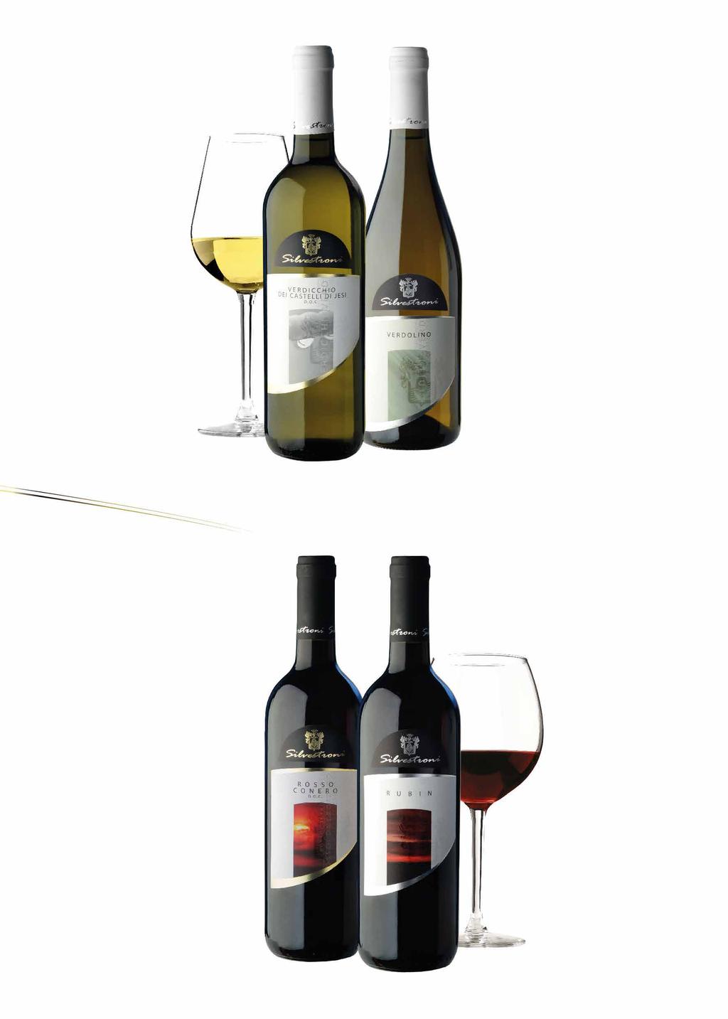 Verdicchio dei Castelli di Jesi D.O.C. linea CLASSICA Verdolino Vivace Vino Bianco linea CLASSICA 11,5%Vol. - conf.