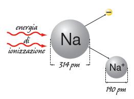 L atomo che perde uno o più elettroni, mentre mantiene inalterato il numero di protoni del nucleo, assume una o, rispettivamente, più cariche positive. Si forma, cioè, uno ione positivo, o catione.