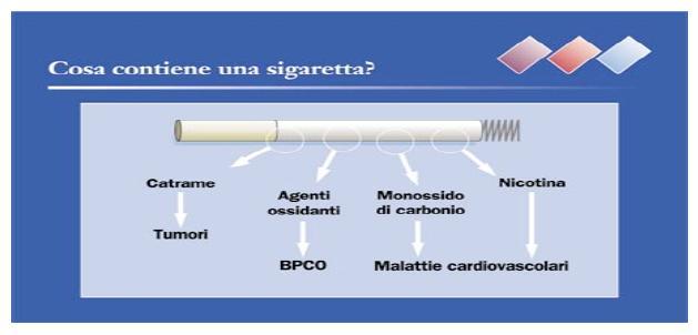 Introduzione proteine.