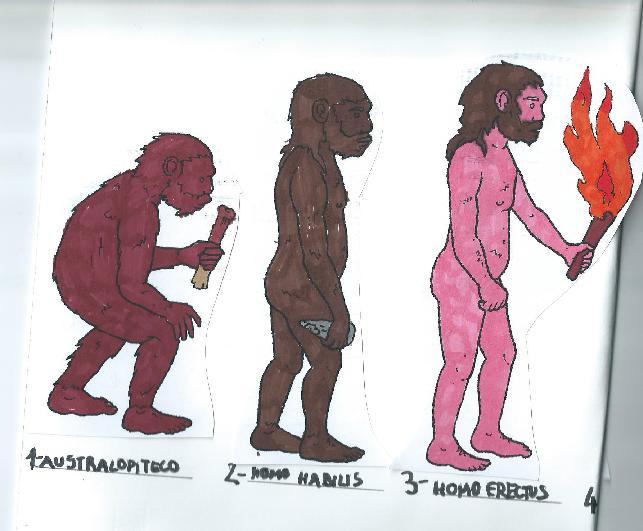 L evoluzione dell uomo L uomo, dalla sua prima