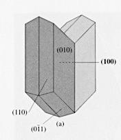 LISCIO: SINUOSO: gemina8 di conta@o.