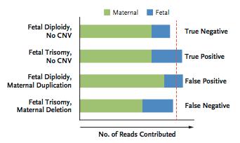 Le CNV possono essere innocue e avere solo significato di variabilità genetica. (Snyder et al.