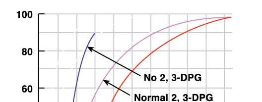 L aumento di 2,3-DPG sposta la curva verso Ds (minore affinità dell Hb per O 2 ) La riduzione di 2,3-DPG sposta la curva verso Sn (maggiore affinità di Hb per O 2 ) 2,3-DPG sintetizzato nei globuli