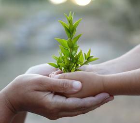 Tutto nasce da un seme che in potenza è vita, ma ha bisogno di un terreno fertile, acqua e cure per crescere.