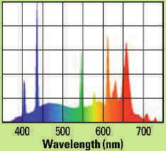 OCENIC STR T8» Lampada fluorescente lineare per acquari marini e d acqua dolce.