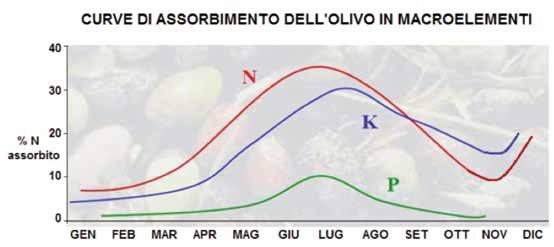 L impiego dei prodotti ILSA costituiti dalle matrici AGROGEL e GELAMIN determina: maggiore assorbimento di azoto e altri elementi nutritivi in specifiche fasi che significa nutrizione completa ed