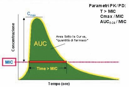 Farmacocinetica e farmacodinamica