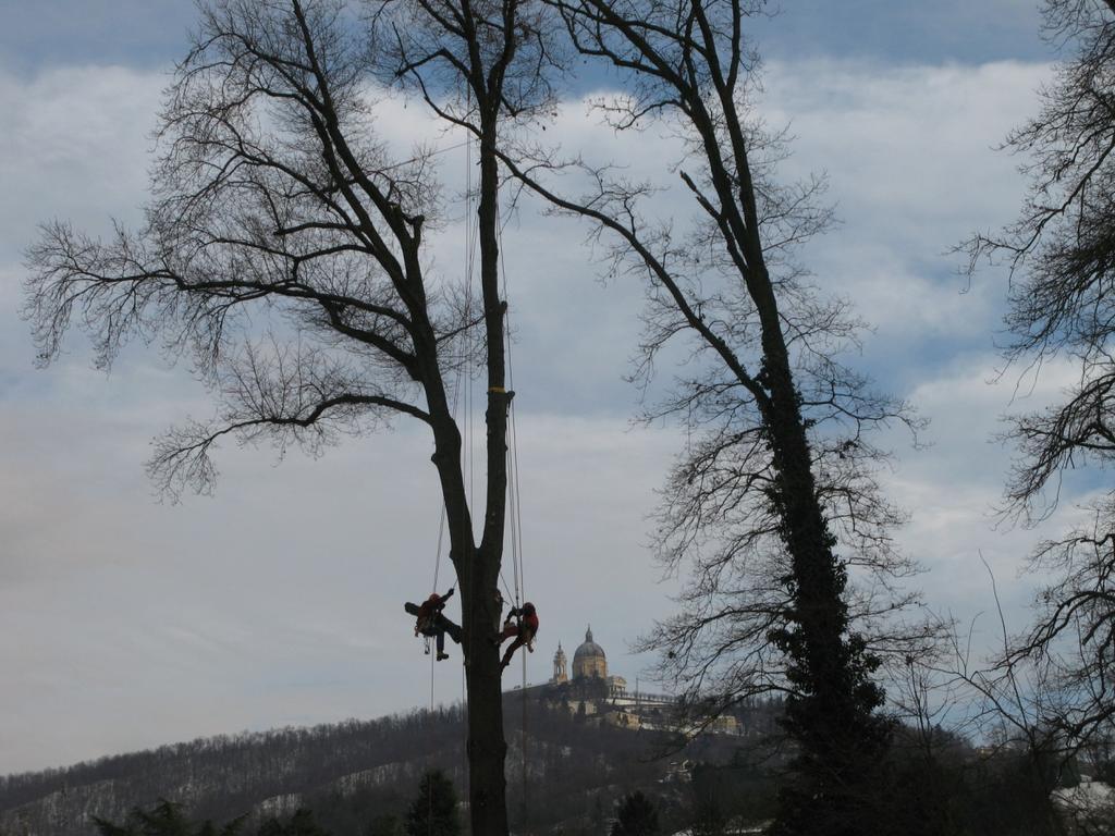 L AIFOR, Associazione Istruttori Forestali, riunisce e rappresenta n.