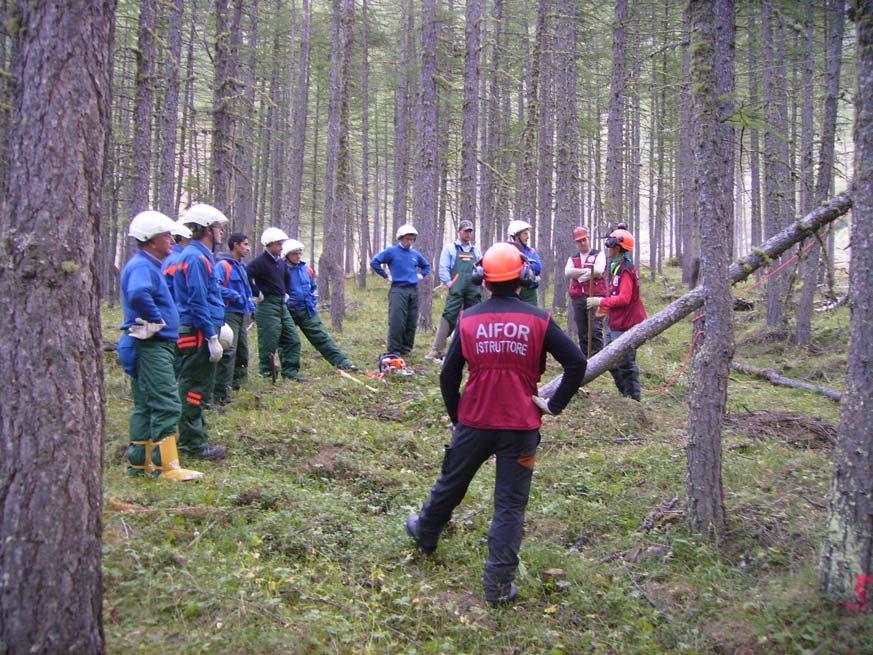 Caratteristiche del corso: 6 moduli di tre giornate ciascuno così costituiti: 4 ore di lezione teorica in aula, 4 ore di pratica su piazzale, 12 ore di pratica in bosco, 4 ore di manutenzione