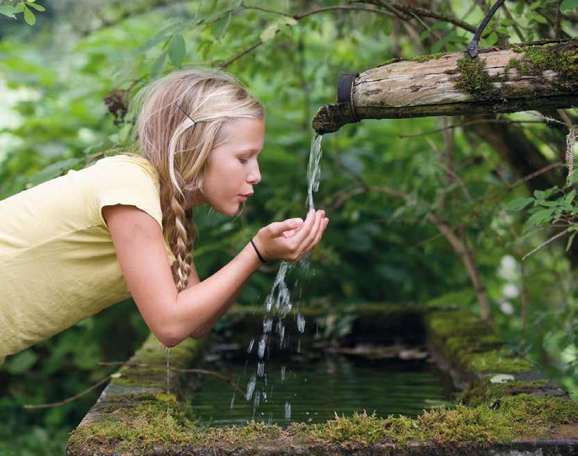 L importanza dell acqua per il nostro organismo L acqua è l alimento di cui il nostro