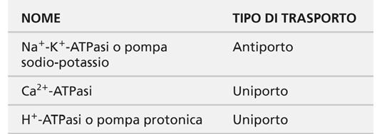 Ruolo della Na + /K + ATPasi Crea gradienti per Na+ e K+ necessari per: Potenziali d azione Potenziali sinaptici Potenziali generatori I gradienti