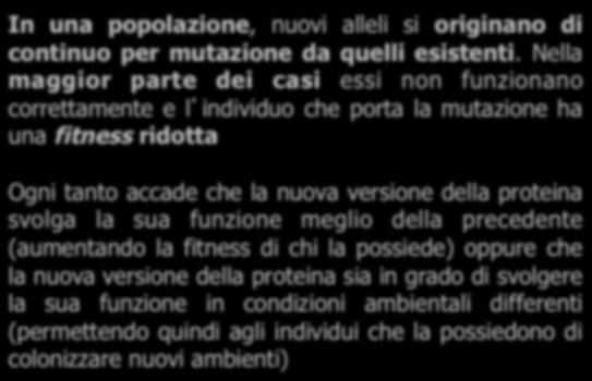 Da un punto di vista evoluzionistico: In una popolazione, nuovi alleli si originano di continuo per mutazione da quelli esistenti.