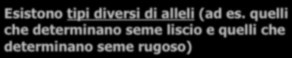 Ciascuno di essi deriverà da un genitore diverso Esistono tipi diversi di alleli (ad es.