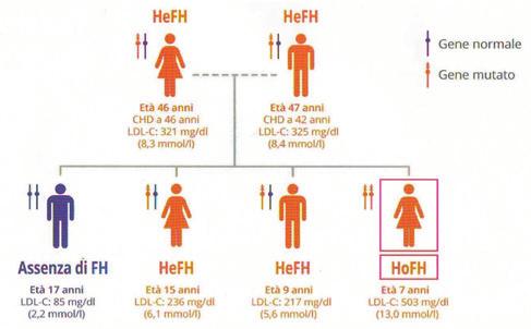 L esposizione cumulativa a livelli di LDL-C sufficienti per sviluppare CHD è raggiunta a un età di circa 1,5 anni nei pazienti affetti da HoFH e a un età di circa 35 anni nei pazienti affetti da