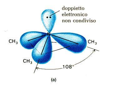 Ibridazione sp 3 L'atomo di azoto delle ammine porta un doppietto elettronico non condiviso; per questo motivo gli orbitali dell azoto sono ibridati sp 3, geometria quasi tetraedrica Quando i gruppi