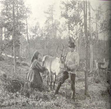 Arid climate hypothesis Cook & al-torki 1975 Milk as a source of food