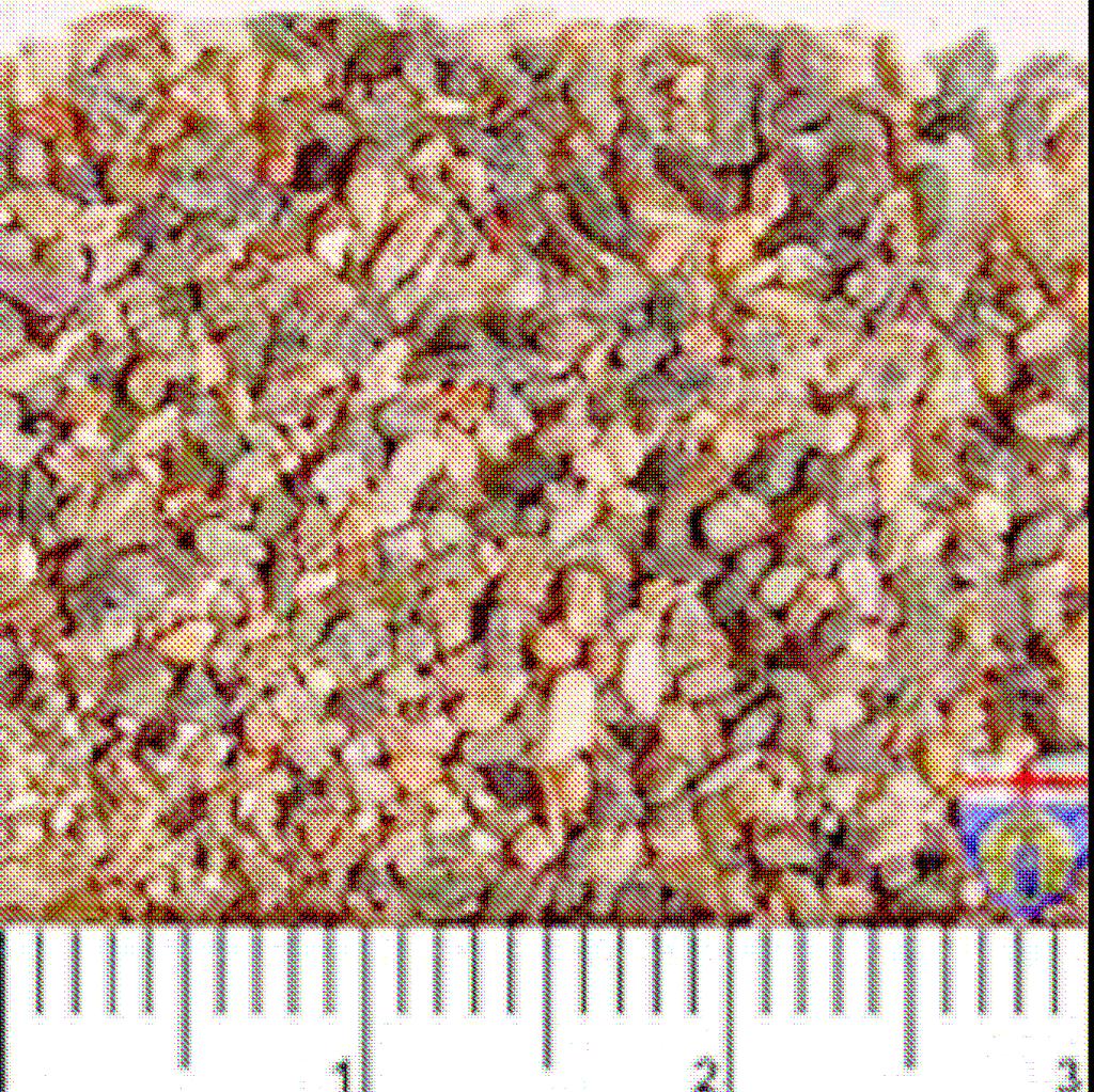 Arrossato Ocra Dimensioni sedimento (scala di Wentworth dimensioni reali): Granuli/gravel