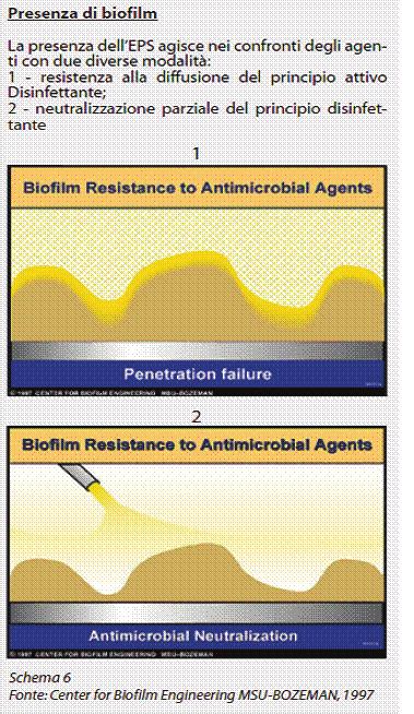 Protocolli di pulizia e disinfezione delle superfici: aspetti tecnici ed applicativi Fig.7 Effetto dei disinfettanti nei biofilm microbici.