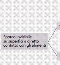 Tale prodotto è in grado di eliminare in 15 minuti a 25 C un biofilm di una settimana di Listeria Monocytogenes e 50 minuti per un biofilm di Staphylococcus aureus.