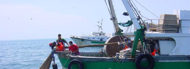 Pesca e maricoltura in Emilia-Romagna Imbarcazioni 1.