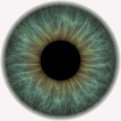 La trasmissione di un solo carattere Le tabelle e le immagini che seguono, riguardanti il carattere colore degli occhi, chiariranno meglio le intuizioni di Mendel.