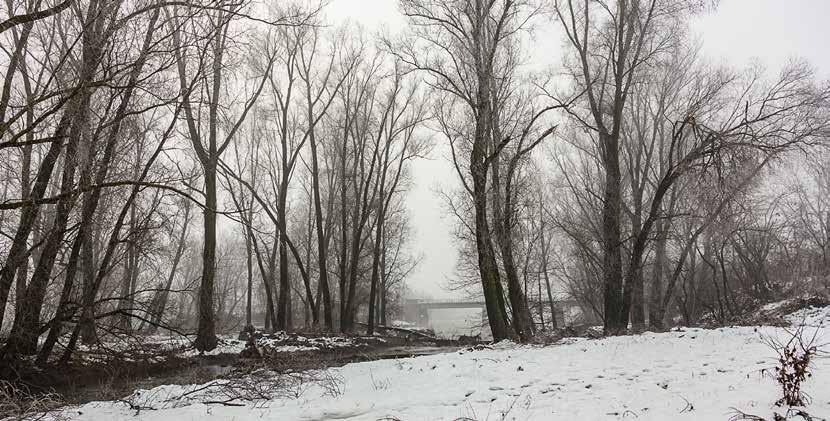 Fiume Chiese DICEMBRE 2016 1 2 3 4 5 6 7 8 9 10 11 12 13 14 15 16 17 18 19 20 21 22 23 24 25 26 27 28 29 30 31 Gennaio FEBBRAIO 2017 1 2 3 4 5 6 7 8 9 10 11 12 13 14 15 16 17 18 19 20 21 22 23 24 25