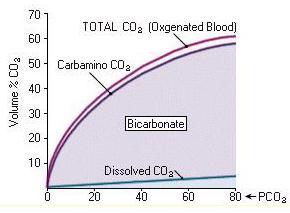 TRASPORTO DELLA CO 2 NEL SANGUE 1- disciolta come gas (5.5%) 2- disciolta come bicarbonato (89.