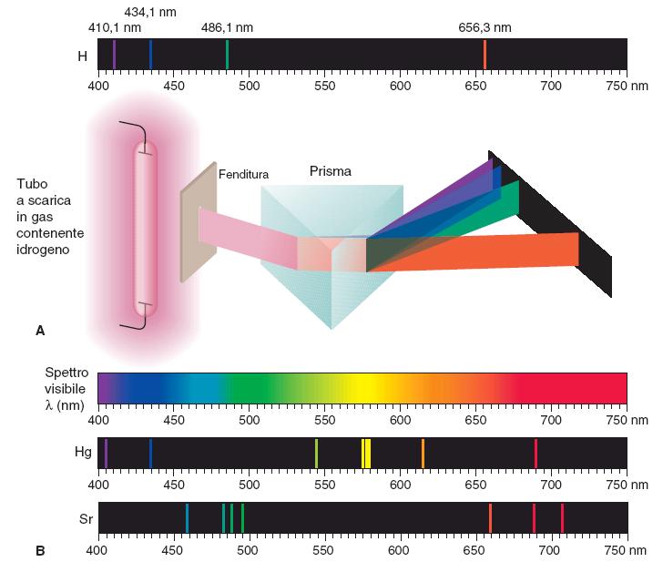 Gli spettri di emissione dei gas Vengono emessi da gas eccitati termicamente e/o elettricamente e