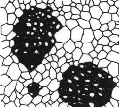 2 cm TESSITURE INTERGRANULARI - forma dei cristalli idioblasti = euedrali xenoblasti = anedrali