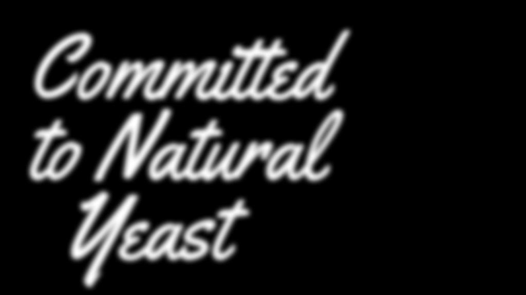 Committed to Natural Yeast Più di uno slogan o un punto di vista, è il cuore e l anima di EsmachLab: il progetto