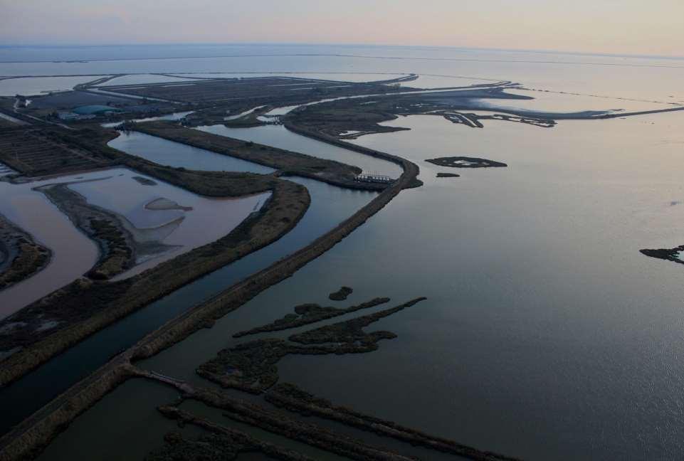 il delta del Po è la più grande zona umida italiana che sfocia in mare senza sbarramenti L area I confini della Riserva di