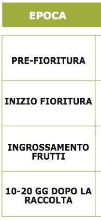 - La concimazione dell olivo non sempre