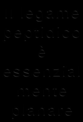 chiamato LEGAME PEPTIDICO, formando un DIPEPTIDE