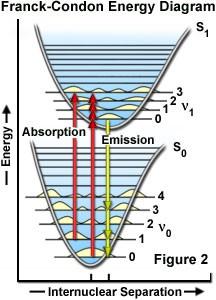 Le transizioni di eccitazione (linee rosse) dallo stato fondamentale allo stato eccitato sono talmente veloci (femtosecondi) che la distanza