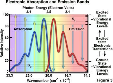 Le transizioni più favorevoli sono quelle in cui le probabilità delle energie rotazionali e vibrazionali dello stato fondamentale e dello