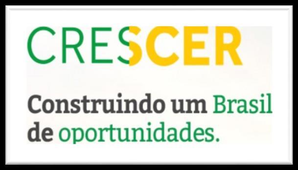 PPI Programma per Partnership di Investimenti PROGETTO CRESCERE Riformulare il modello di concessioni in Brasile; Rafforzare la certezza del diritto, la stabilità regolamentare e modernizzare la