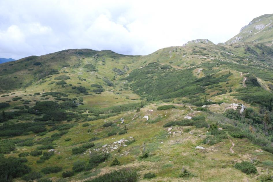 Passo Cason di Lanza Sella Val Dolce Paesaggio glaciale in montagna, torbiere d alta quota Morfologia