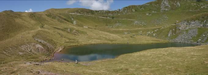 piedi dei nevai (Protalus