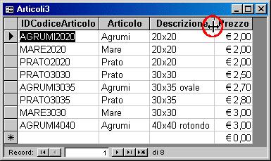 è possibile, trascinando, modificare la dimensione del campo.