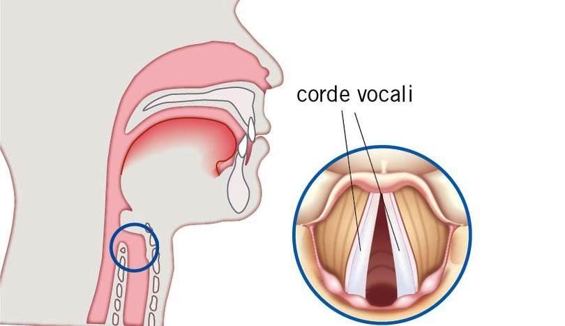 PRODUZIONE E PROPAGAZIONE DELLE ONDE SONORE Il suono è