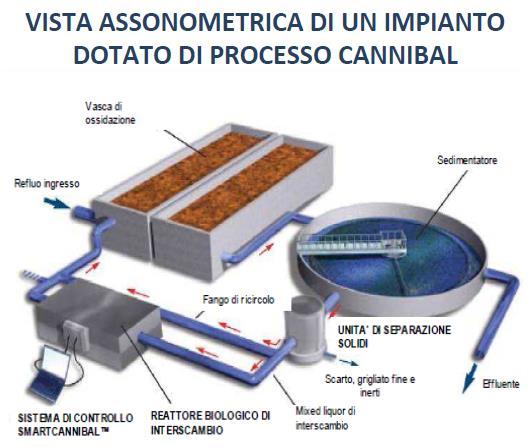 Composti chimici disaccoppianti Processo mediante metabolic uncoupler.