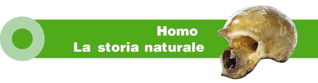 Conoscere la storia naturale dell Uomo è un momento irrinunciabile e propedeutico a qualsiasi