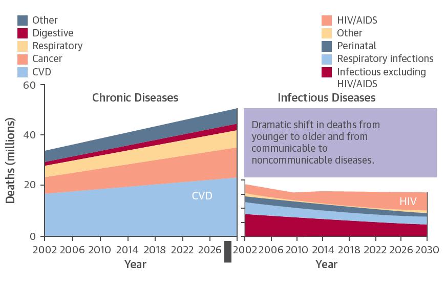 Global Burden of Disease: Chronic and Infectious Diseases 2002-2030 CHD: 20% Stroke: