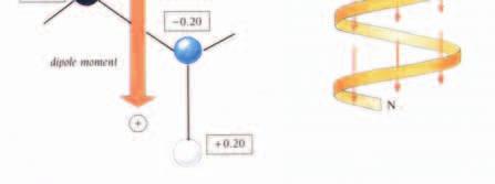 L effetto effetto complessivo è un macrodipolo con parziale carica positiva e negativa rispettivamente alle