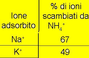 SCAMBI CATINIC Un catione è scambiabile tanto più facilmente quanto minore è l energia con la quale è legato alla superficie 100 K 100 NH 4 60 NH 4 40 K 60 K 40 NH 4 100 Na 100