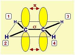 2 orbitali ibridi sp centrati su un nucleo 3 orbitali ibridi sp 2 (trigonale planare) 4 orbitali ibridi sp 3 (tetraedrico) NTA: gni orbitale ibrido è caratterizzato da un lobo grande e da uno piccolo